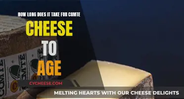 The Aging Process of Comte Cheese Explained