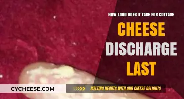 Understanding Cottage Cheese Discharge Duration: What to Expect and When