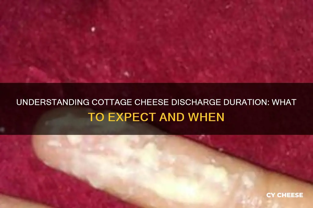 how long does it take for cottage cheese discharge last