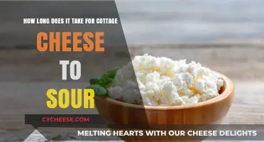 How Long Before Cottage Cheese Turns Sour: A Quick Guide