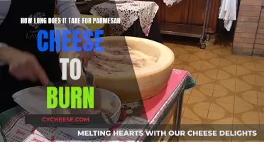 Parmesan Cheese Burning: How Long Before It Burns?