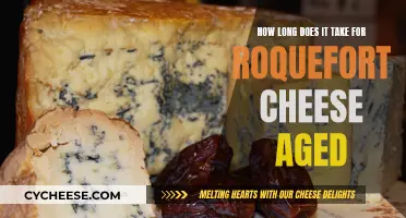 The Aging of Roquefort Cheese: How Long Does it Take?