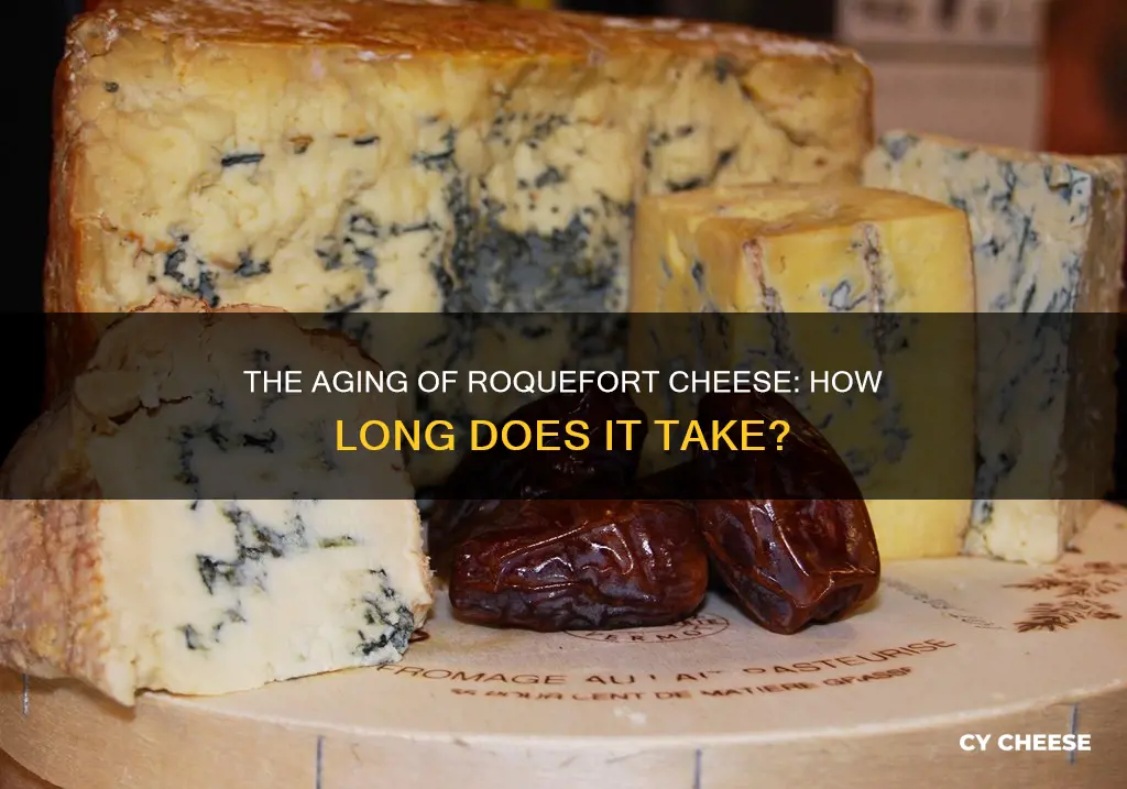 how long does it take for roquefort cheese aged