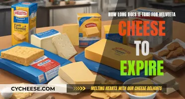 Velveeta Cheese: How Long Does It Really Last?