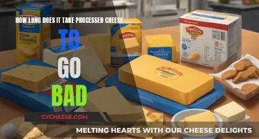 Cheese Longevity: Processed Cheese's Expiry and Shelf Life