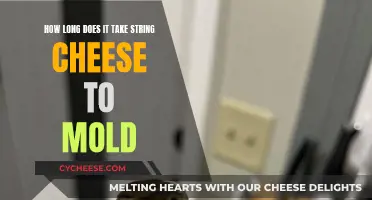 String Cheese Mold: A Timeline of Decay