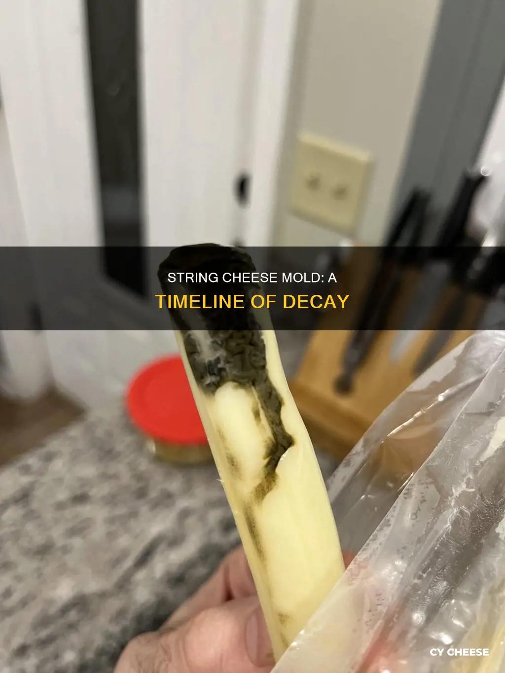 how long does it take string cheese to mold