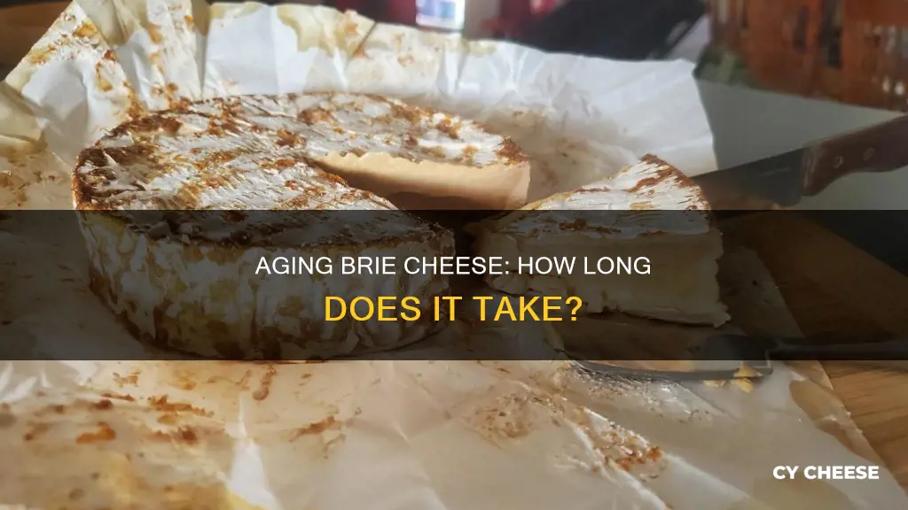 how long does it take to age brie cheese