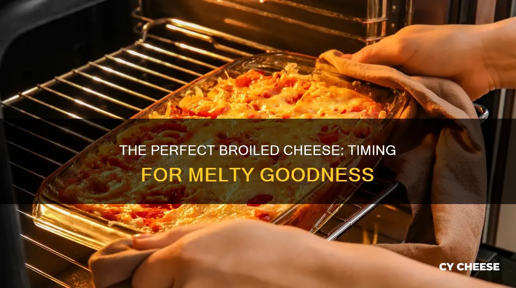 how long does it take to broil cheese