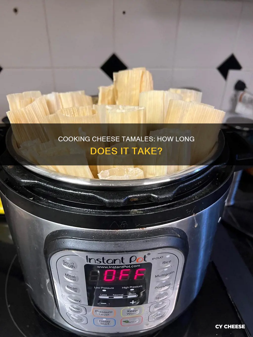 how long does it take to cook cheese tamales