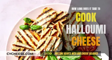 The Perfect Halloumi: Cooking Time and Tips