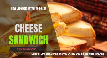 The Mystery of Cheese Sandwich Digestion: How Long Does It Take?