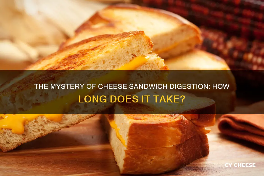 how long does it take to digest a cheese sandwich