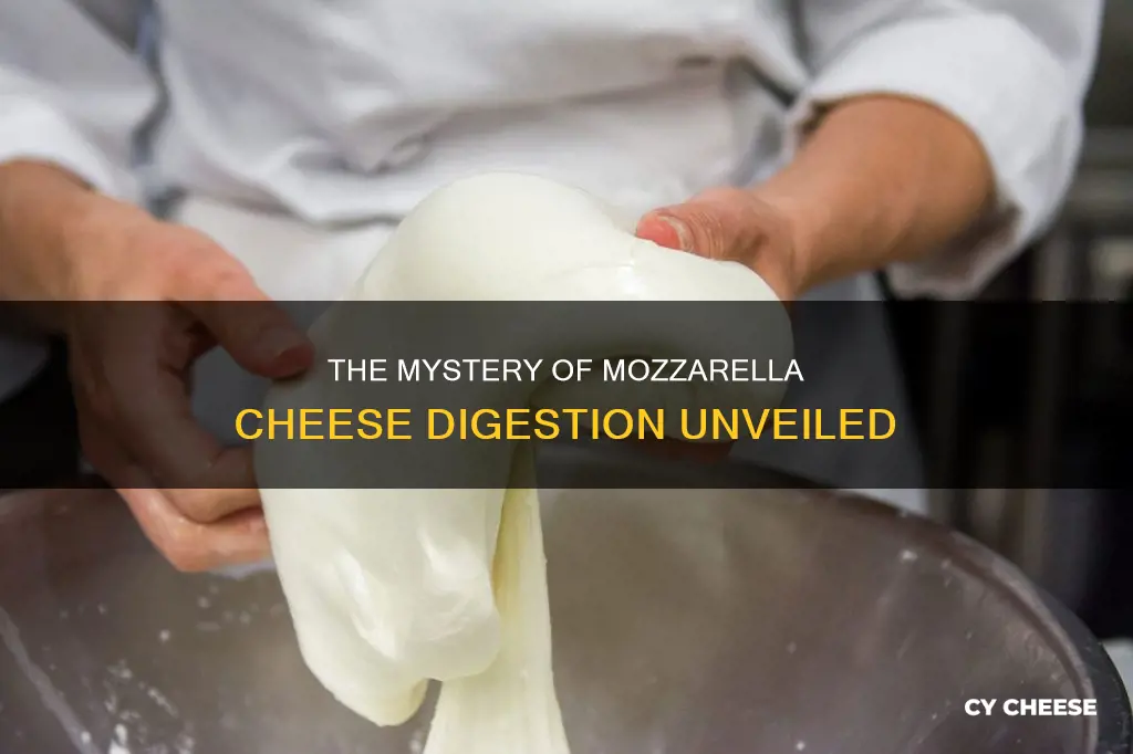 how long does it take to digest mozzarella cheese