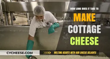 Making Cottage Cheese: Timeframe and Tips for Homemade Goodness