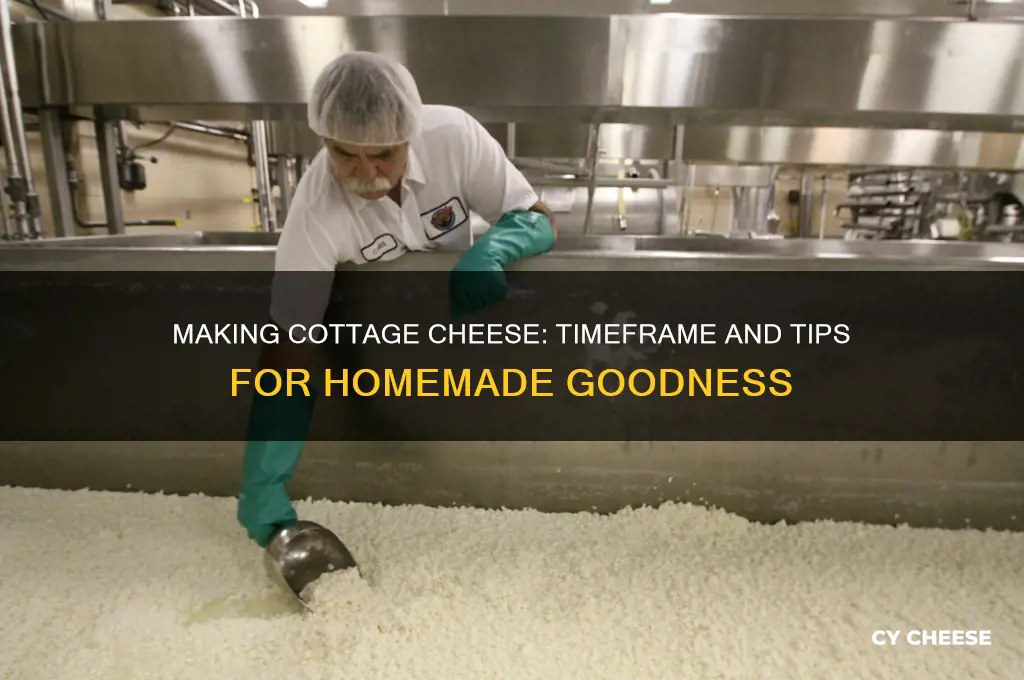 how long does it take to make cottage cheese
