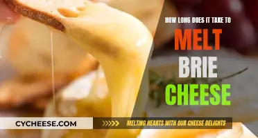 Melting Brie Cheese: How Long Does It Take?