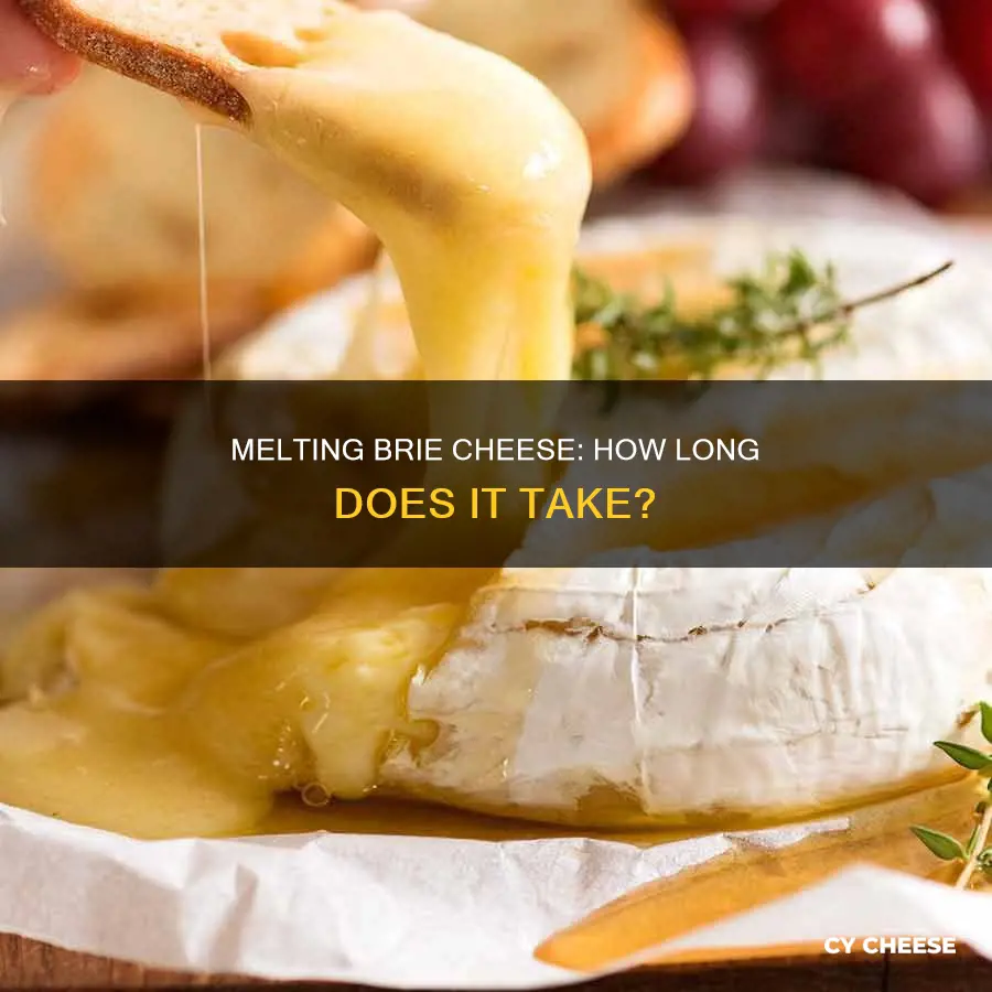 how long does it take to melt brie cheese