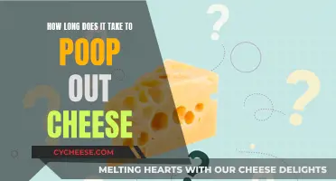 The Mystery of Cheese Digestion: Pooping Out Cheese Explained