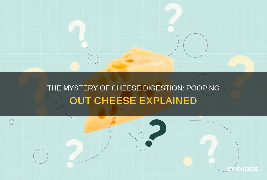 how long does it take to poop out cheese