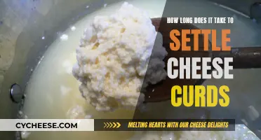 Settling Cheese Curds: The Time It Takes