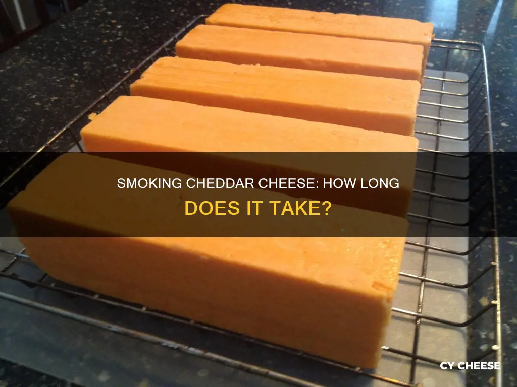 how long does it take to smoke cheddar cheese