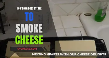 Smoking Cheese: How Long Does the Process Take?