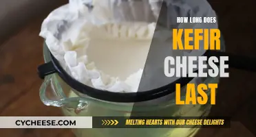 Kefir Cheese: How Long Does It Last?