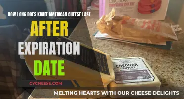 American Cheese: How Long Does It Really Last?