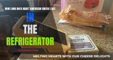 Kraft American Cheese: How Long Does it Really Last?