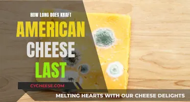 The Expiry Mystery: Kraft American Cheese Shelf Life