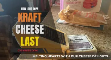 The Ultimate Guide to Kraft Cheese Shelf Life