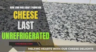 Kraft Parmesan Cheese: How Long Does It Stay Fresh?