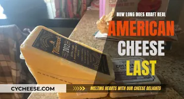 The Longevity of Kraft's Real American Cheese