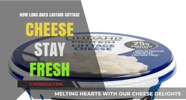 Lactaid Cottage Cheese Freshness: Shelf Life and Storage Tips