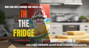 The Laughing Cow Cheese: How Long Does it Really Last?