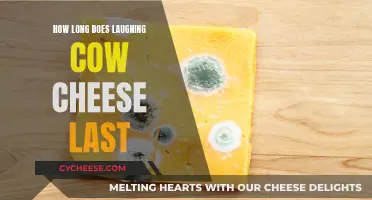 The Laughing Cow Cheese: How Long Does it Really Last?