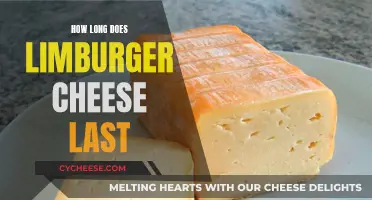 The Longevity of Limburger Cheese: How Long Can It Last?