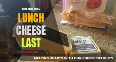 Cheese Lifespan: How Long Does Lunch Cheese Last?