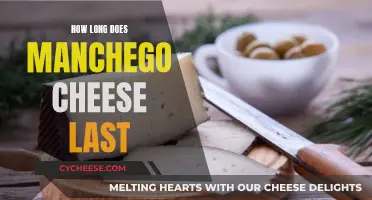 The Lifespan of Manchego Cheese: How Long Does it Last?