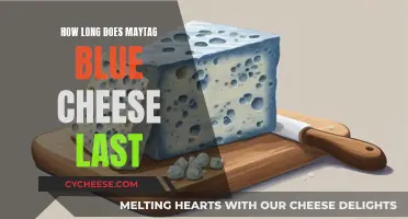 Maytag Blue Cheese: How Long Does It Last?