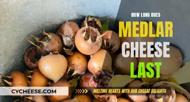 Medlar Cheese: How Long Does It Last?