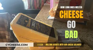 Cheese Connoisseurs: Melty Cheese's Shelf Life Explained