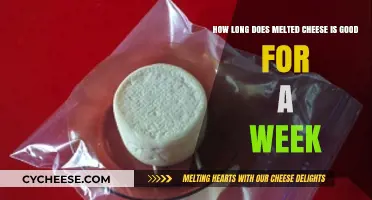 Cheese Conundrum: How Long Does Melted Cheese Last?