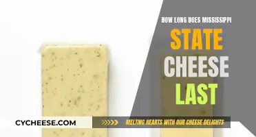 Storing Mississippi State Cheese: How Long Does it Last?