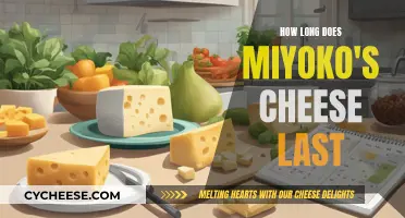 The Longevity of Miyoko's Cheese: How Long Does it Last?