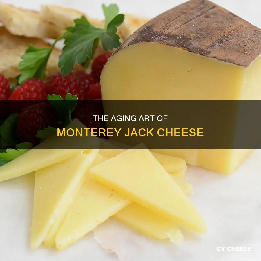 how long does monterey jack cheese aged