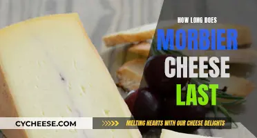 The Longevity of Morbier Cheese: How Long Does it Last?