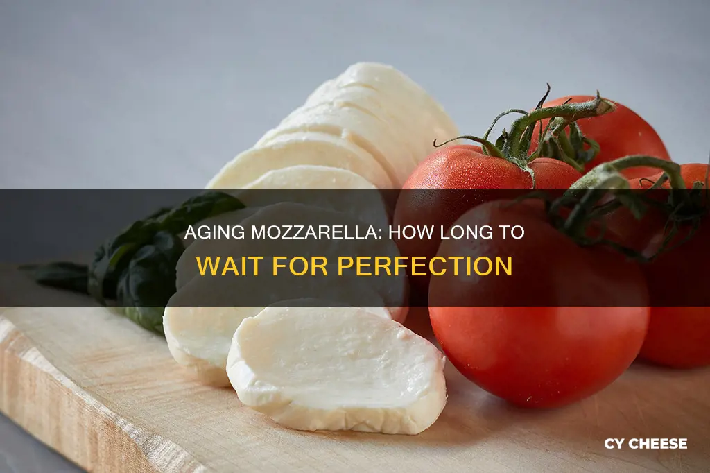 how long does mozzarella cheese age