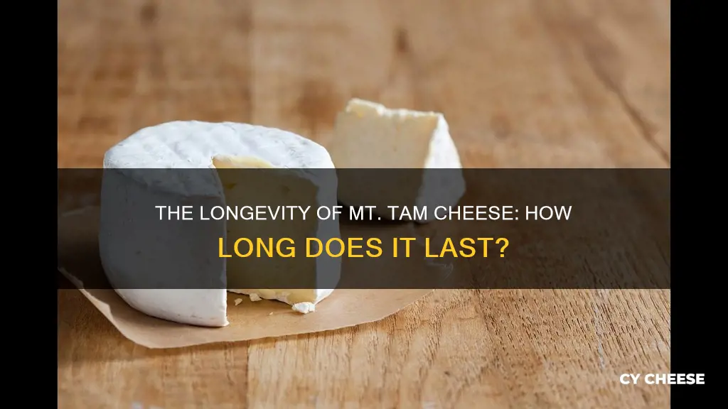 how long does mt tam cheese last